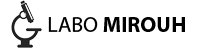 Logo Laboratoire Mirouh